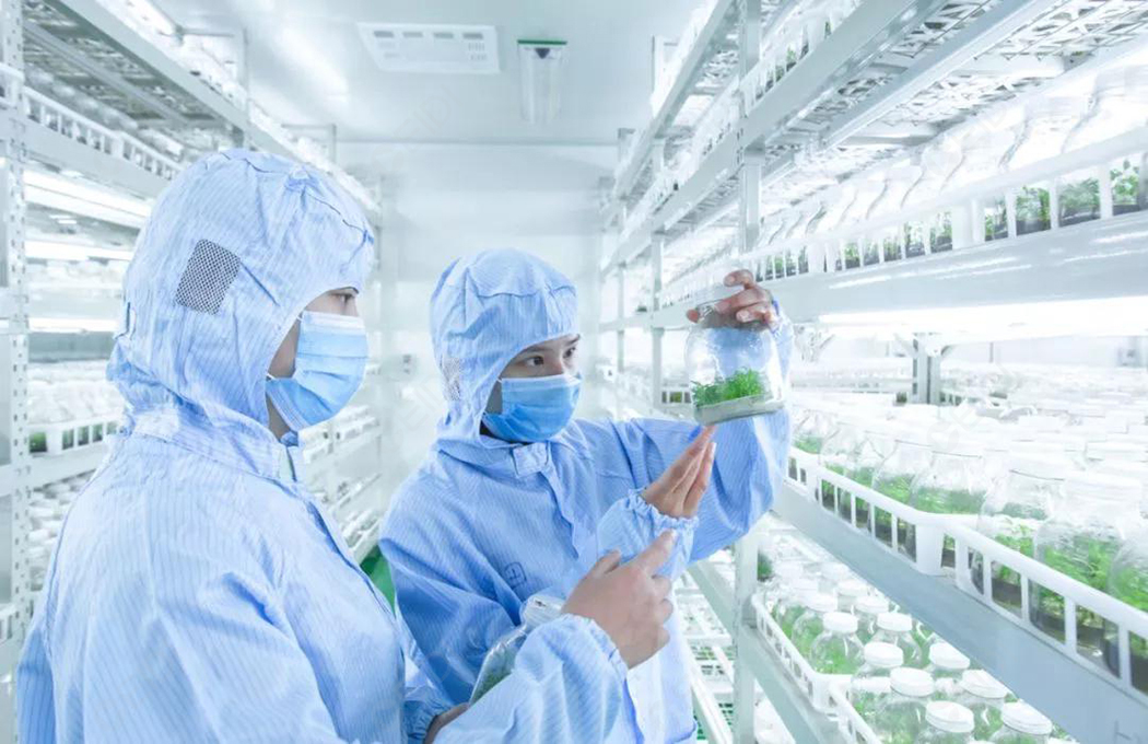 食品農產品實驗室裝修設計，要體現那些要點？